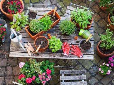 Home and gardening